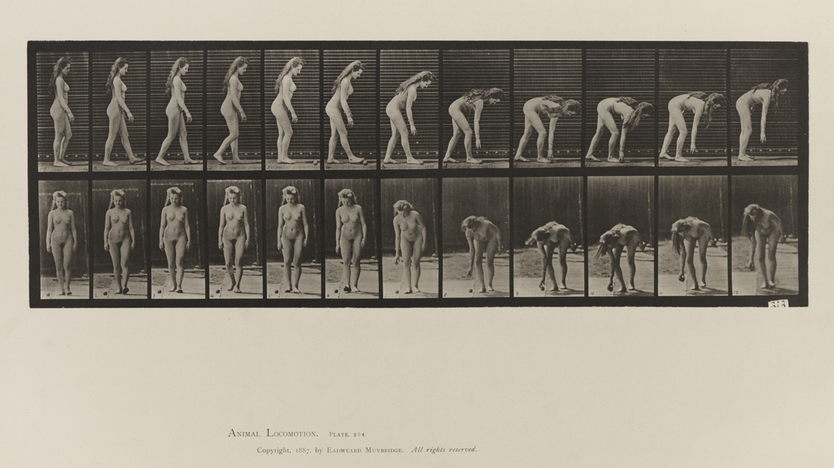Animal Locomotion, Volume III, Women (Nude). Plate 204