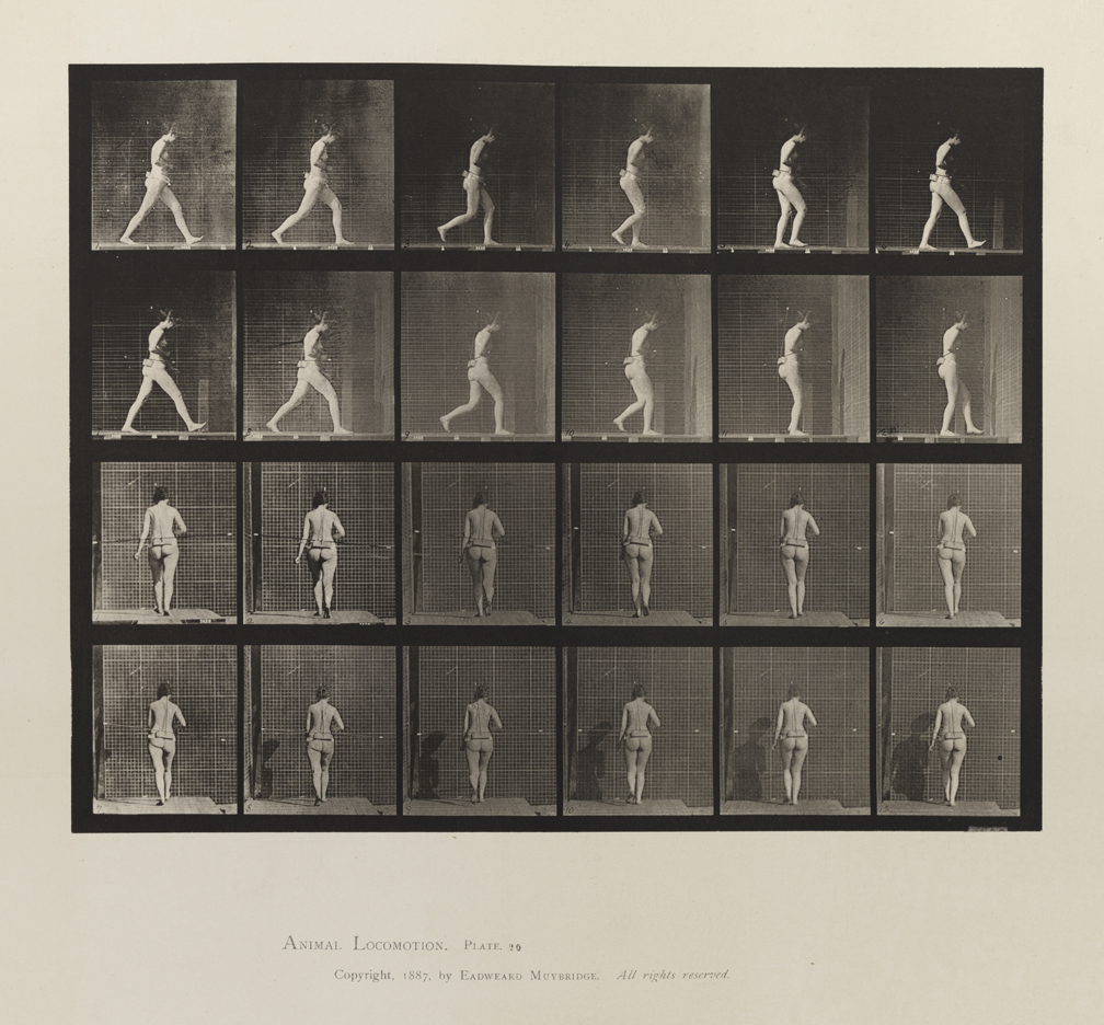 Animal Locomotion, Volume III, Women (Nude). Plate 20