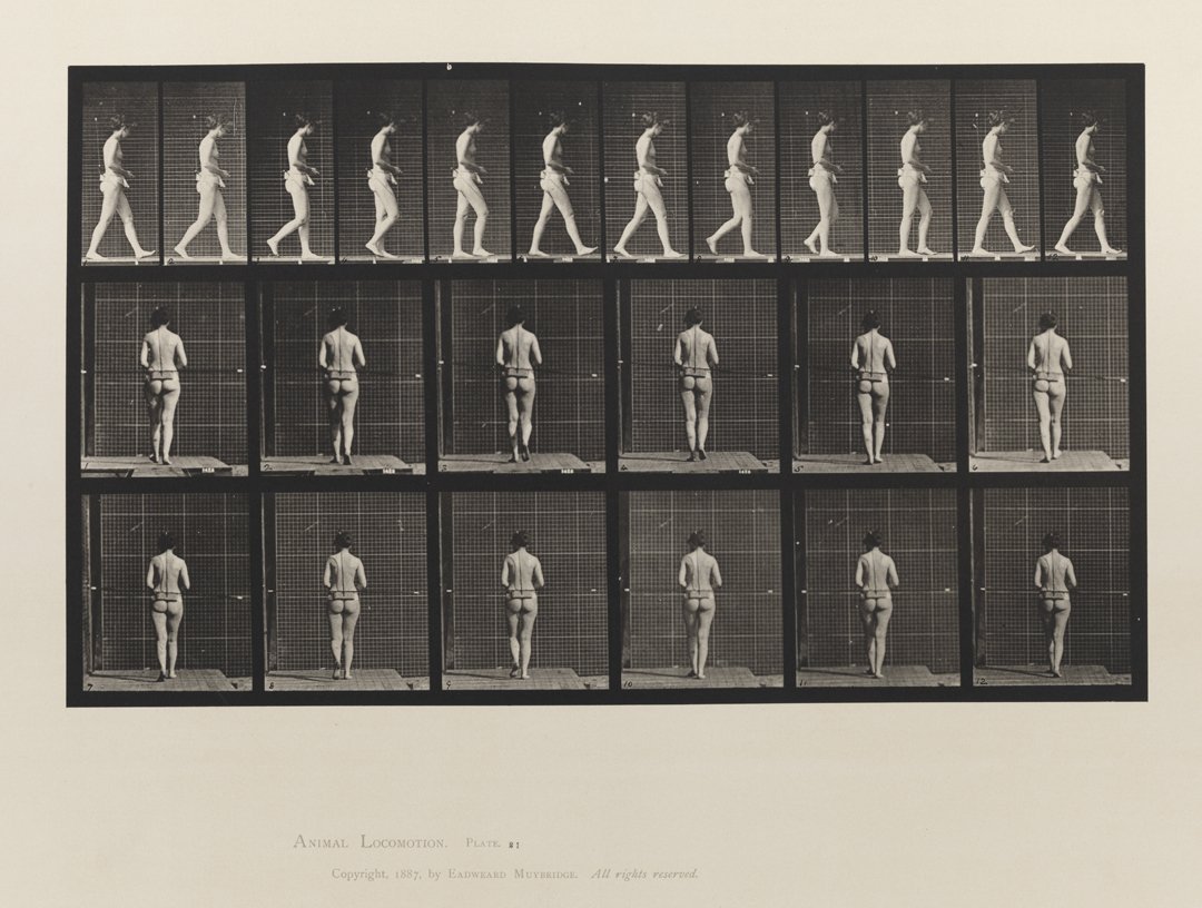 Animal Locomotion, Volume III, Women (Nude). Plate 21