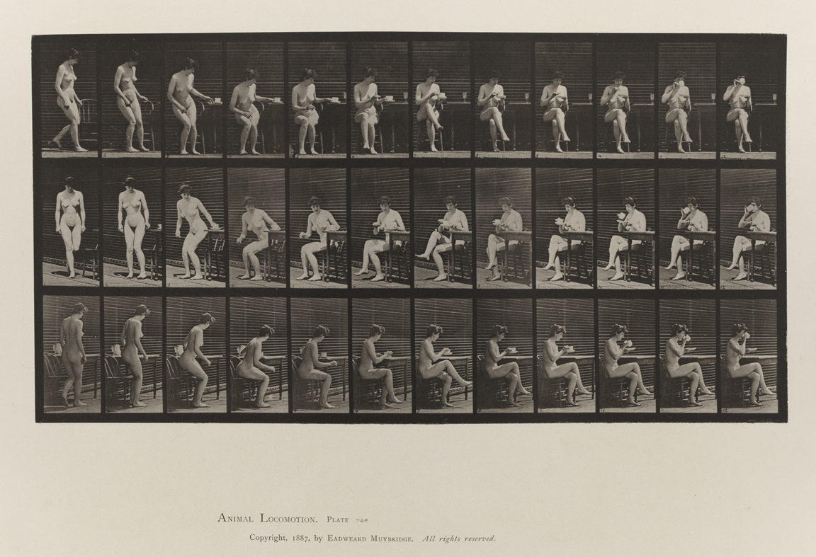 Animal Locomotion, Volume IV, Women (Nude). Plate 238