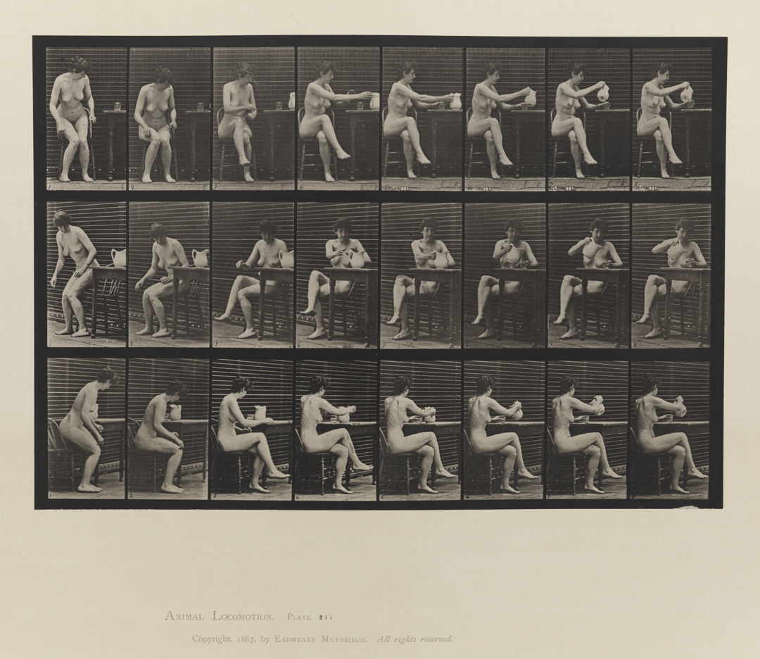 Animal Locomotion, Volume IV, Women (Nude). Plate 244