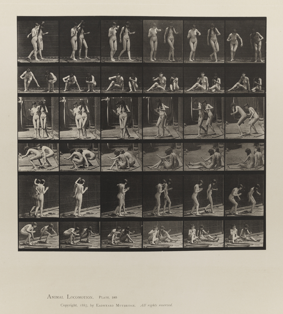 Animal Locomotion, Volume IV, Women (Nude). Plate 245