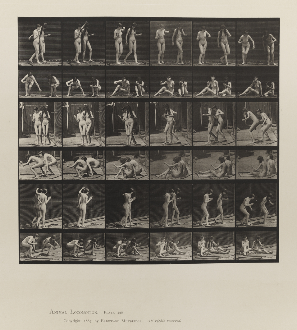 Animal Locomotion, Volume IV, Women (Nude). Plate 245