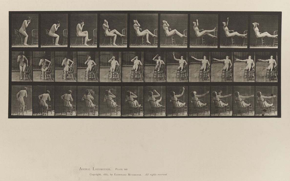 Animal Locomotion, Volume IV, Women (Nude). Plate 247