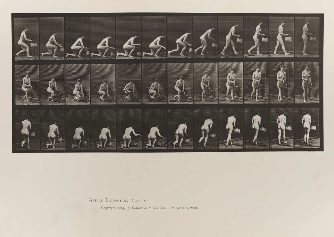 Animal Locomotion, Volume IV, Women (Nude). Plate 251