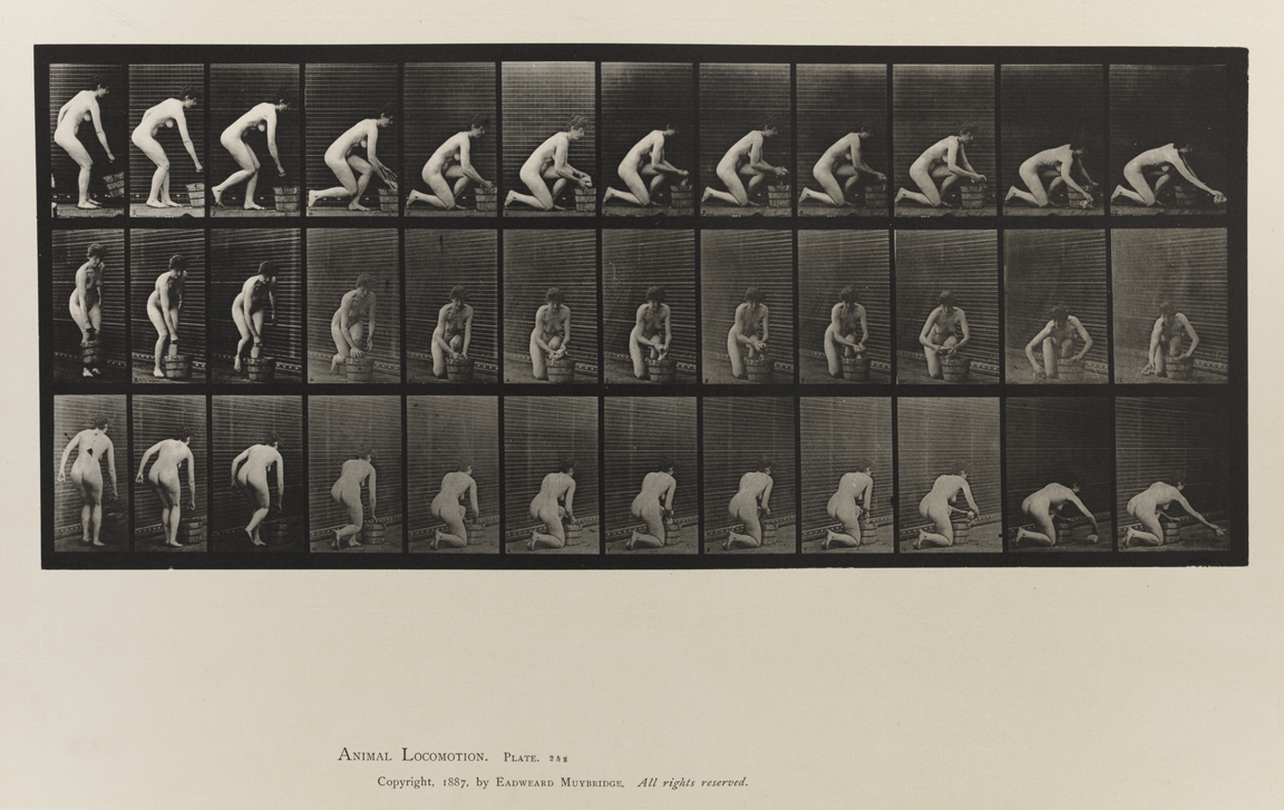 Animal Locomotion, Volume IV, Women (Nude). Plate 252