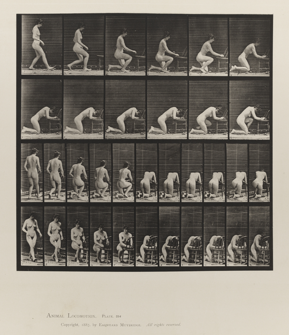 Animal Locomotion, Volume IV, Women (Nude). Plate 254