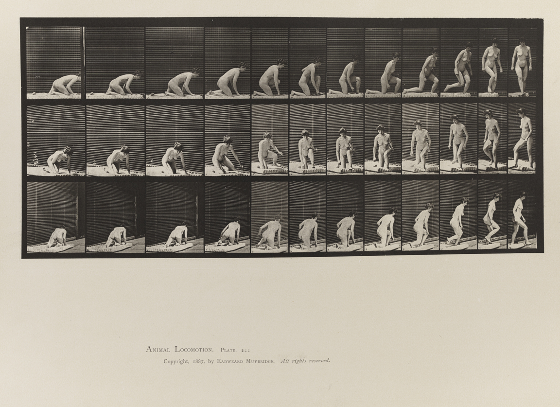 Animal Locomotion, Volume IV, Women (Nude). Plate 255