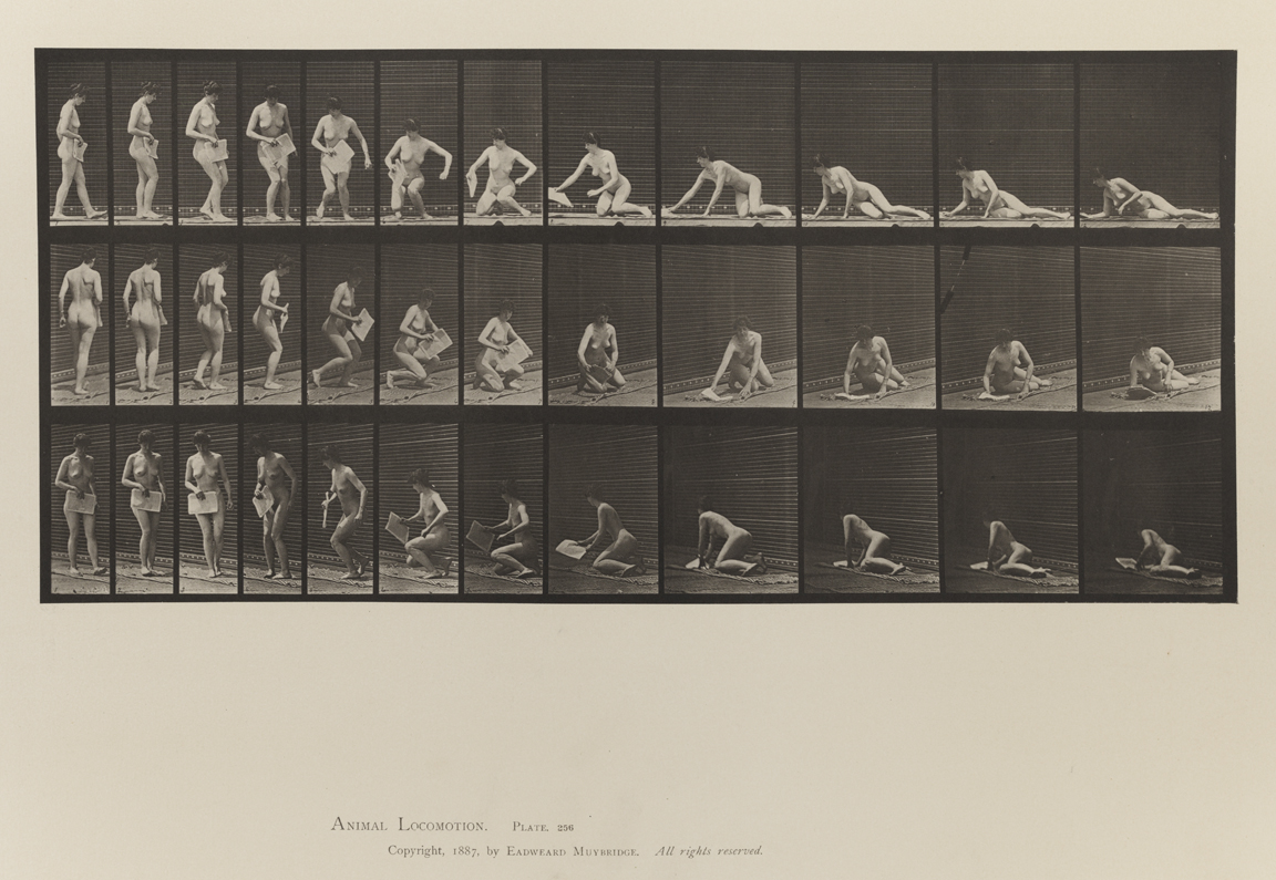 Animal Locomotion, Volume IV, Women (Nude). Plate 256