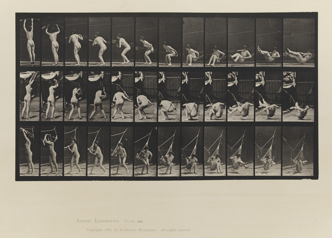 Animal Locomotion, Volume IV, Women (Nude). Plate 262