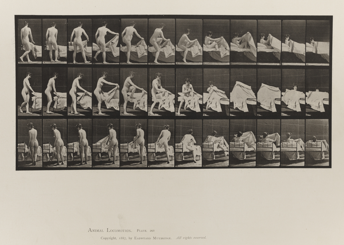 Animal Locomotion, Volume IV, Women (Nude). Plate 263