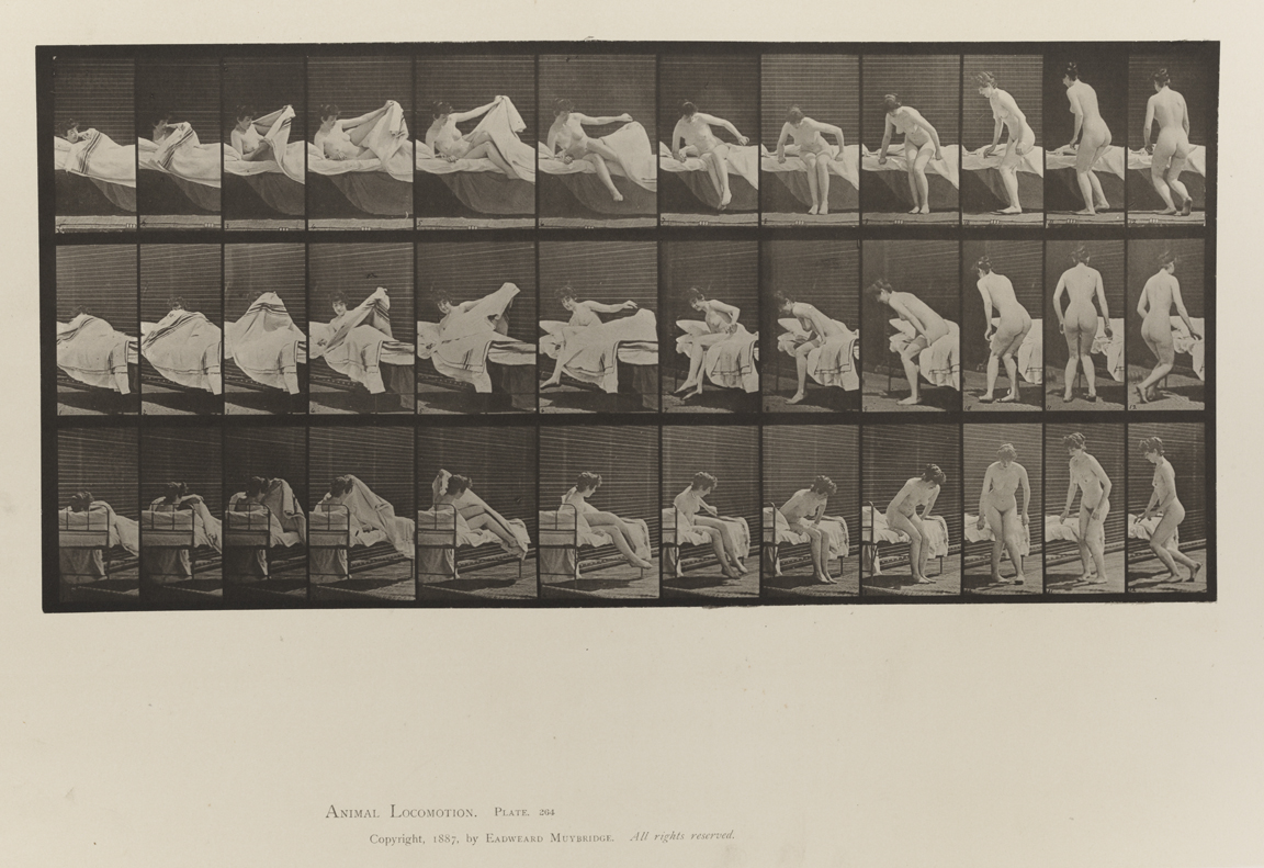 Animal Locomotion, Volume IV, Women (Nude). Plate 264