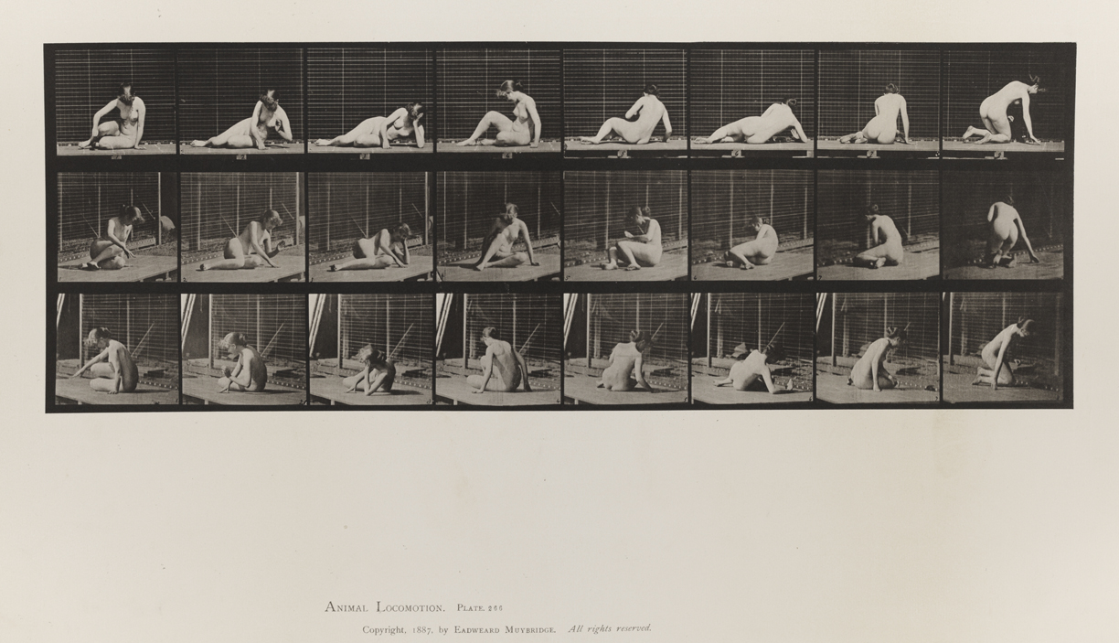 Animal Locomotion, Volume IV, Women (Nude). Plate 266