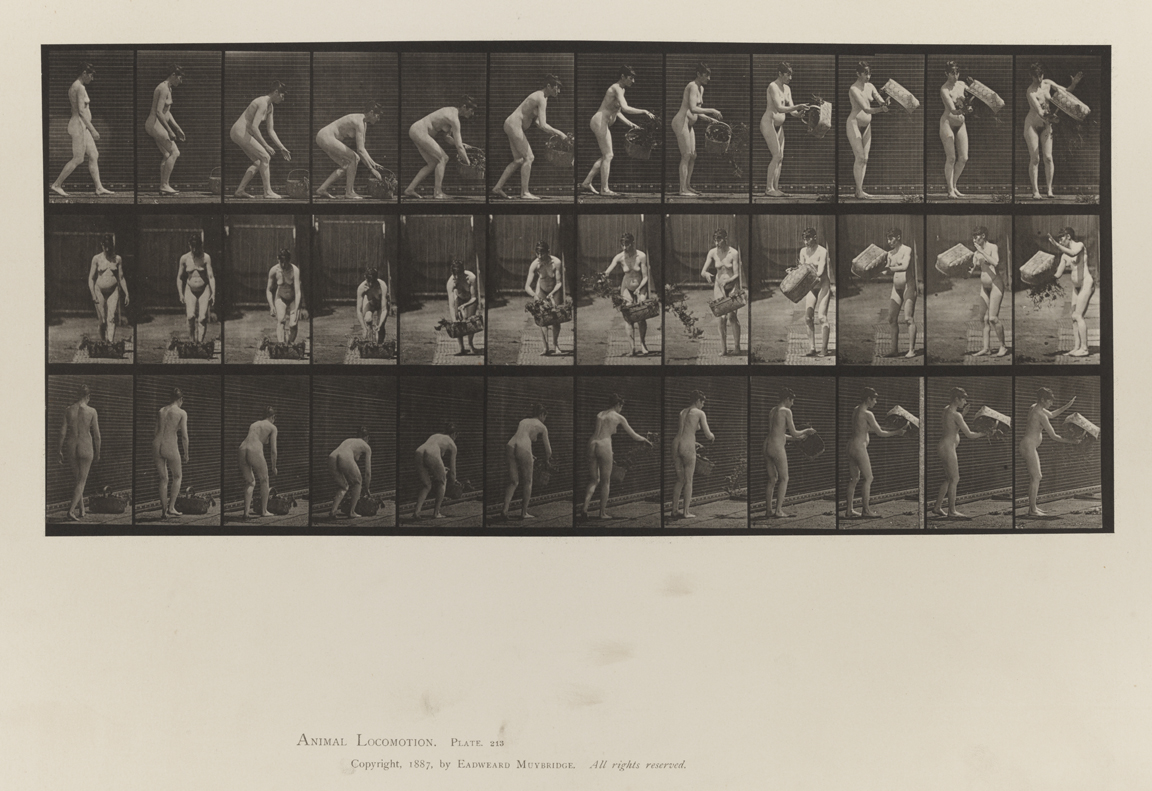 Animal Locomotion, Volume IV, Women (Nude). Plate 213