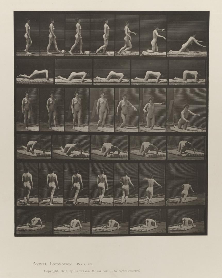 Animal Locomotion, Volume IV, Women (Nude). Plate 272