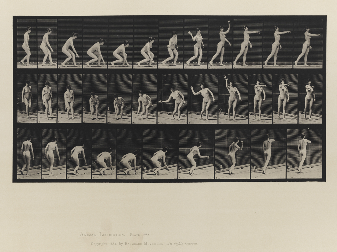 Animal Locomotion, Volume IV, Women (Nude). Plate 303