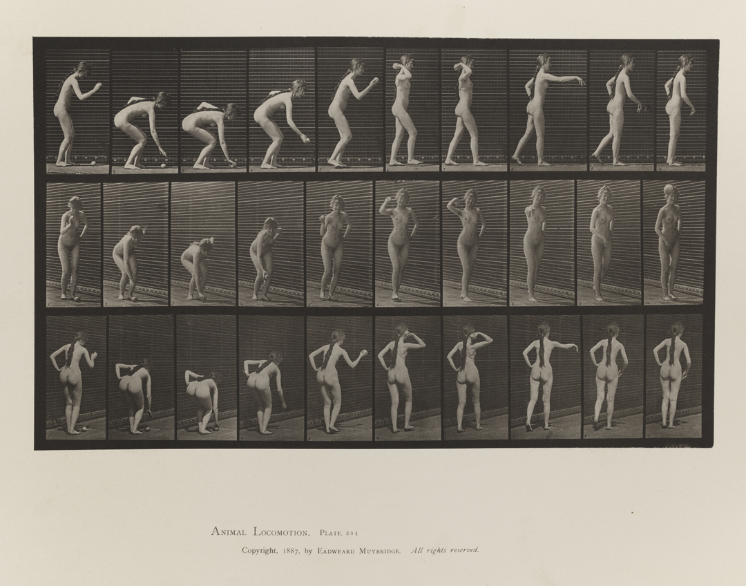Animal Locomotion, Volume IV, Women (Nude). Plate 304