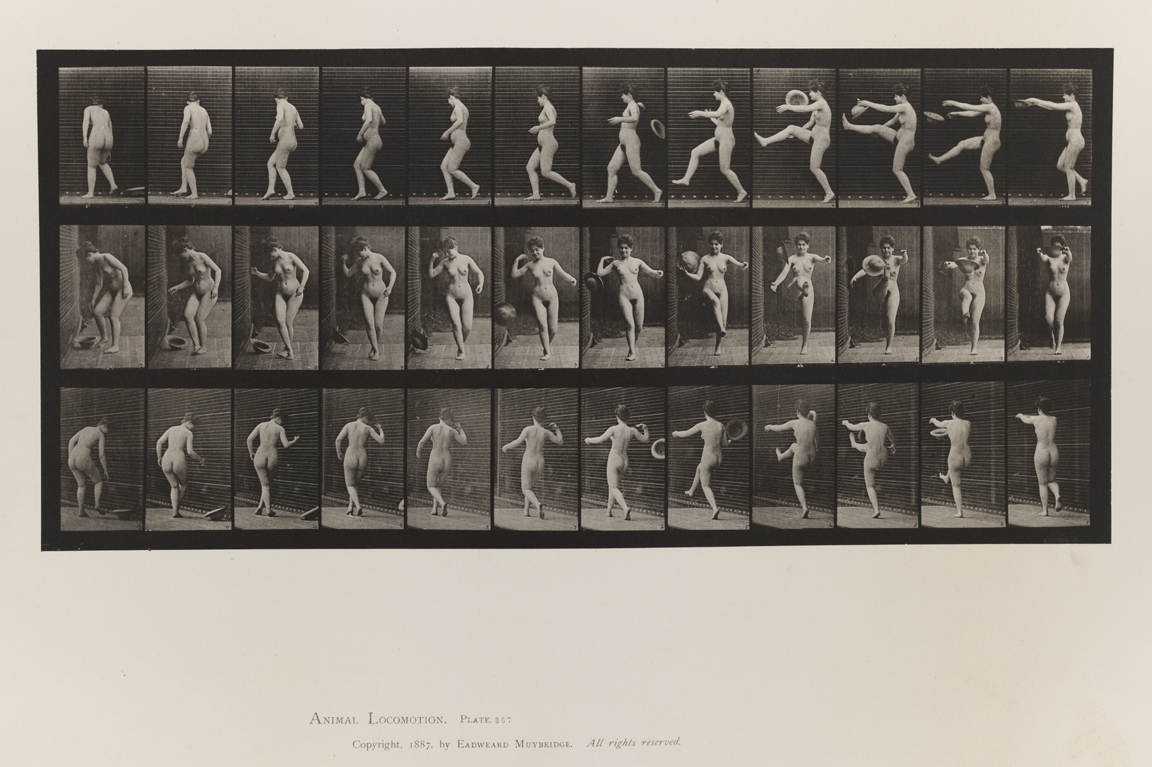 Animal Locomotion, Volume IV, Women (Nude). Plate 307