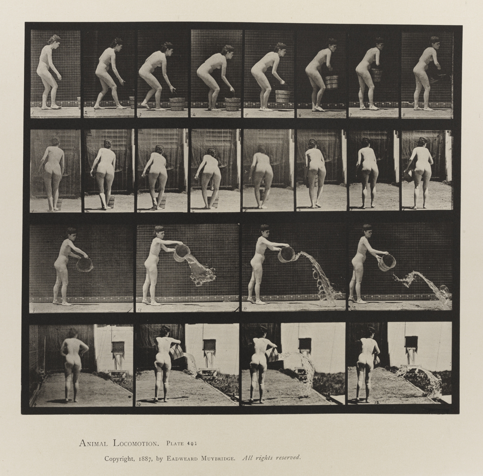 Animal Locomotion, Volume IV, Women (Nude). Plate 401