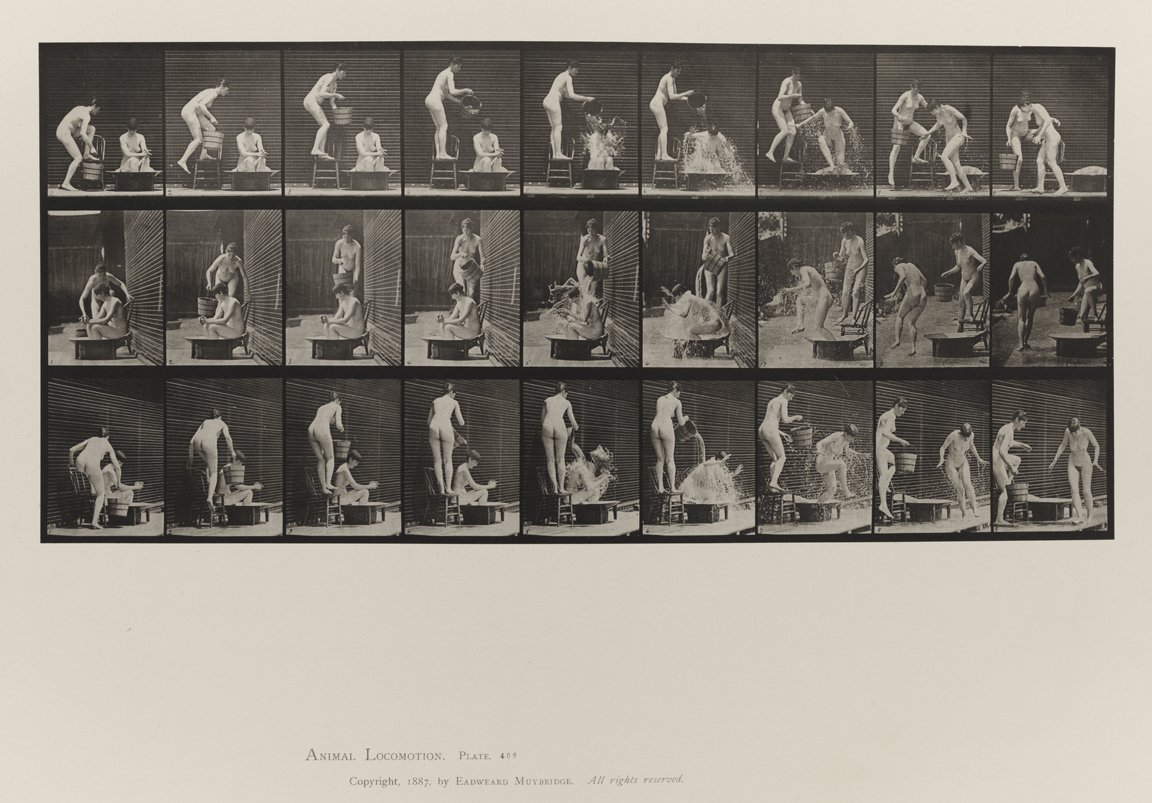 Animal Locomotion, Volume IV, Women (Nude). Plate 408