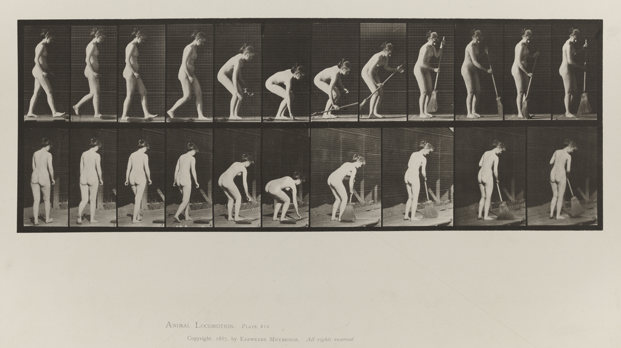 Animal Locomotion, Volume IV, Women (Nude). Plate 219