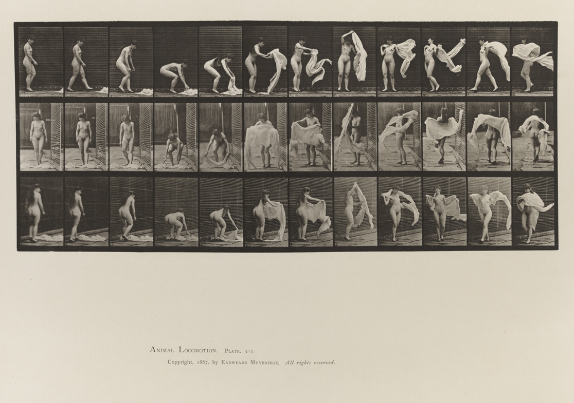 Animal Locomotion, Volume IV, Women (Nude). Plate 419