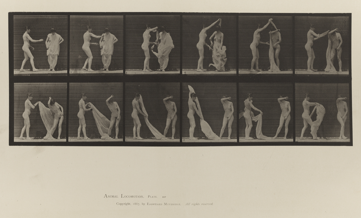 Animal Locomotion, Volume IV, Women (Nude). Plate 427