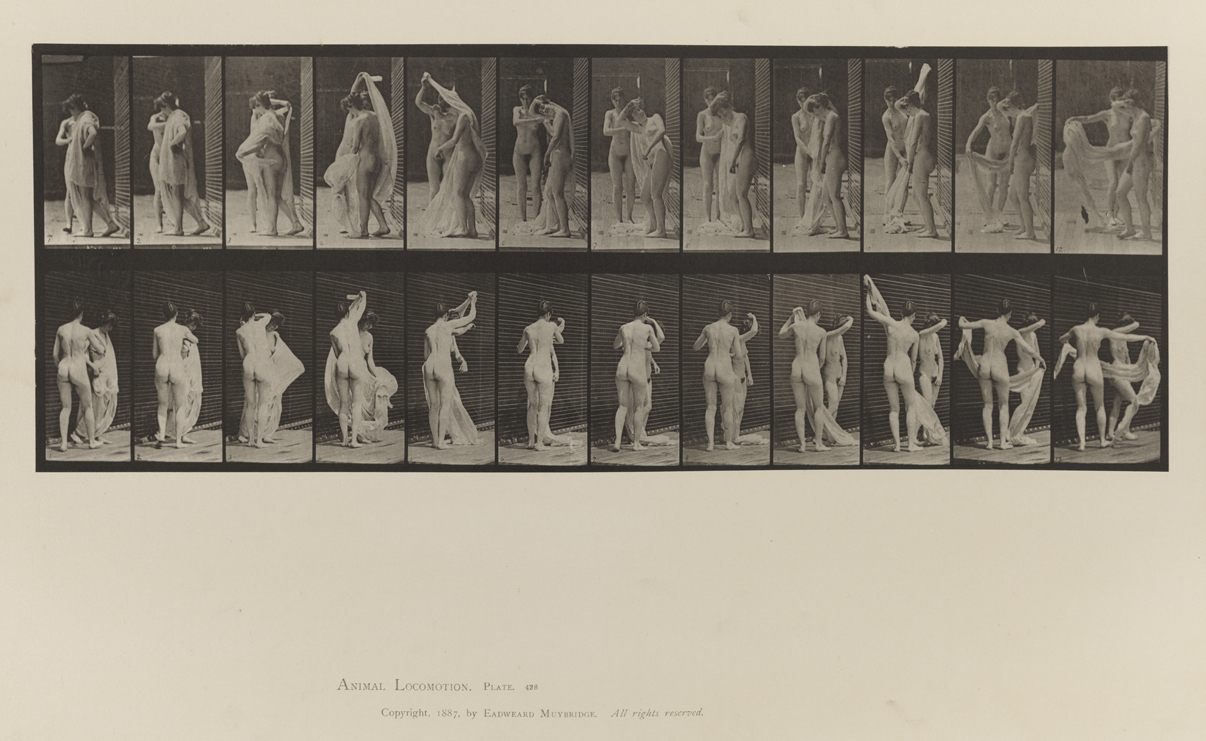 Animal Locomotion, Volume IV, Women (Nude). Plate 428