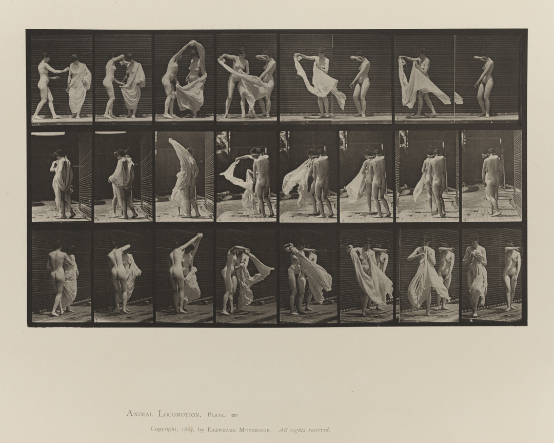 Animal Locomotion, Volume IV, Women (Nude). Plate 429