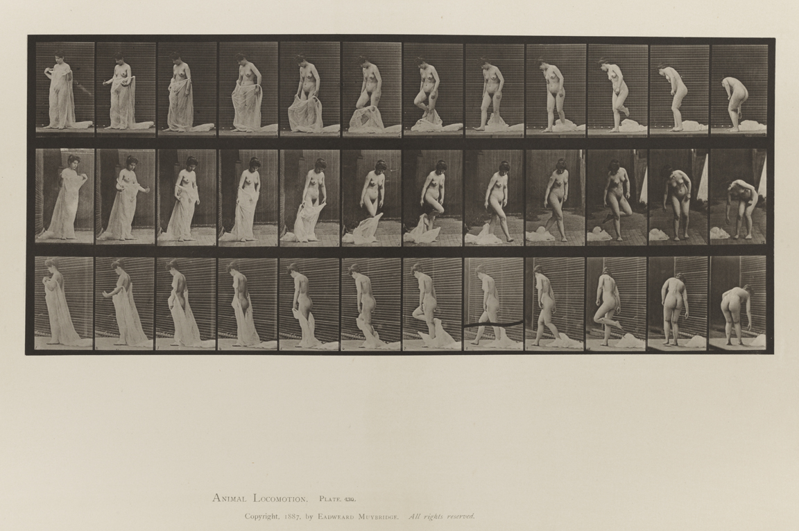 Animal Locomotion, Volume IV, Women (Nude). Plate 430