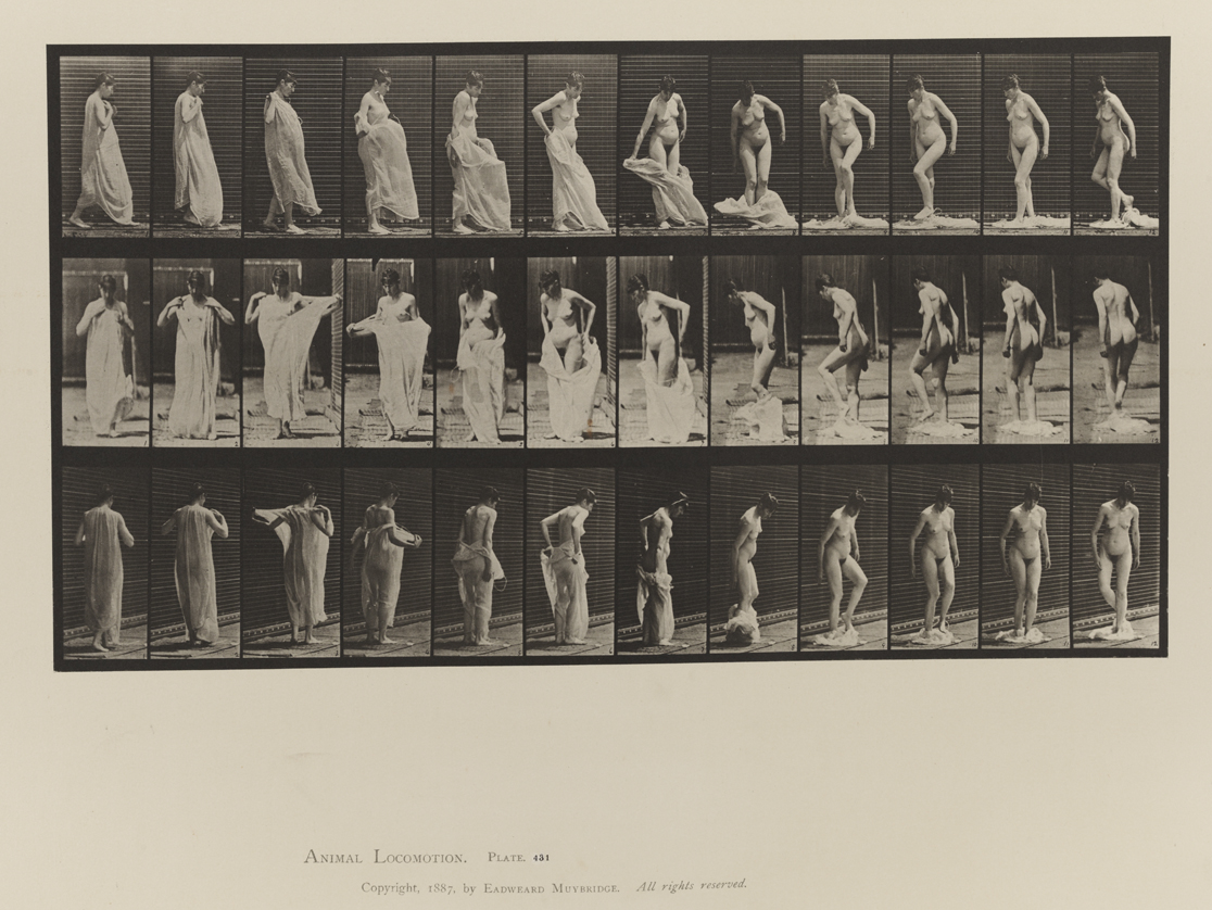Animal Locomotion, Volume IV, Women (Nude). Plate 431