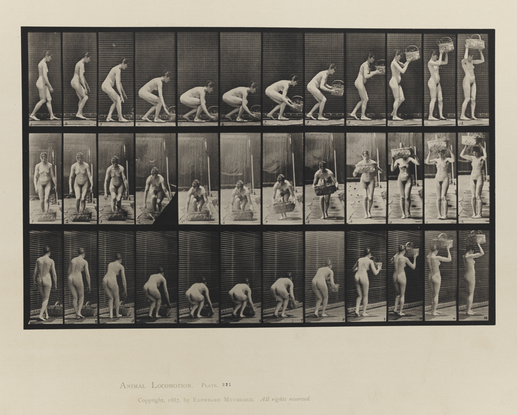 Animal Locomotion, Volume IV, Women (Nude). Plate 221