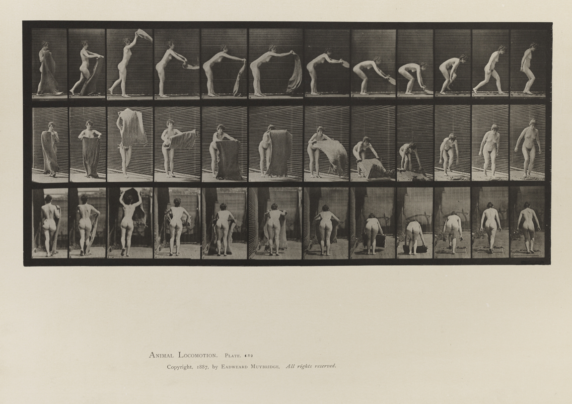 Animal Locomotion, Volume IV, Women (Nude). Plate 439
