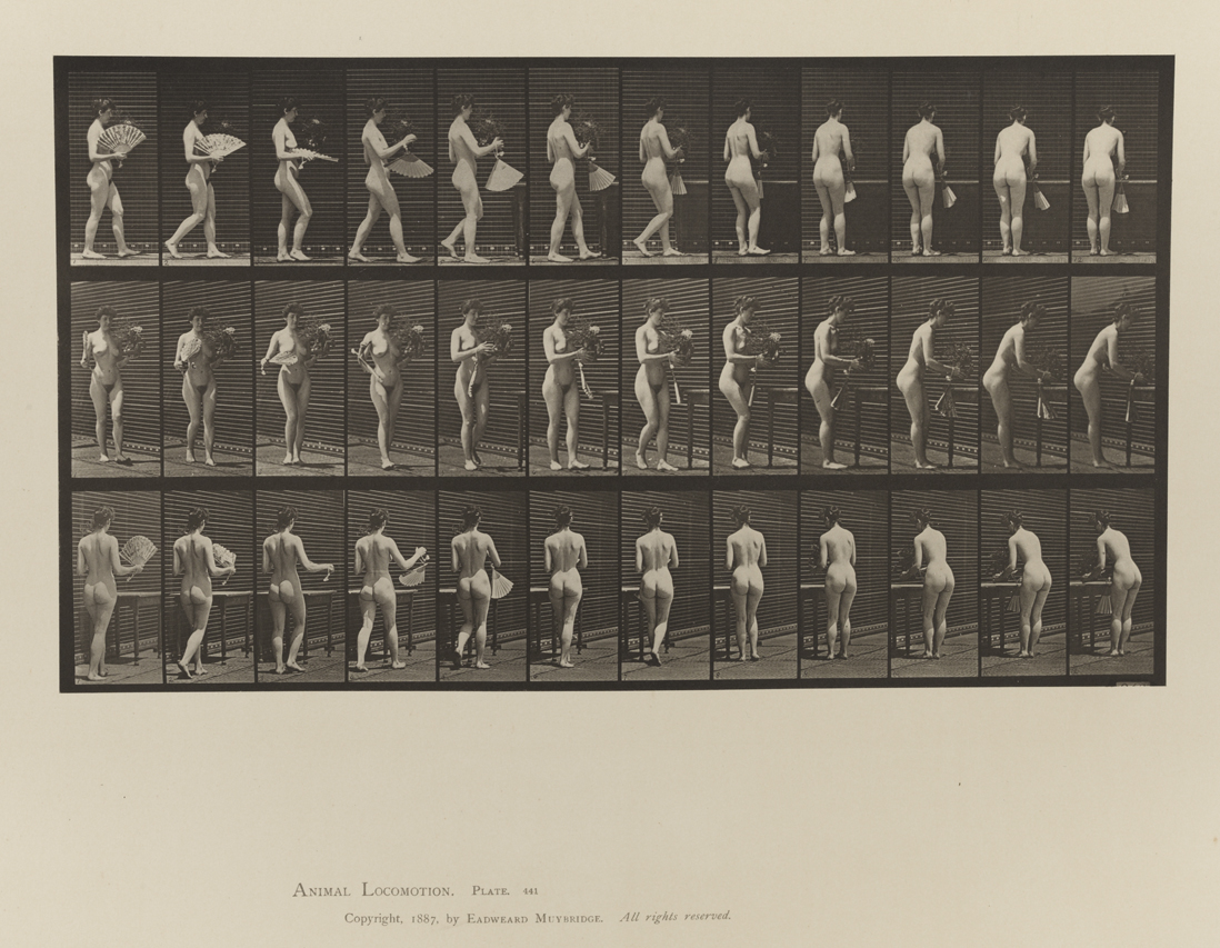 Animal Locomotion, Volume IV, Women (Nude). Plate 441