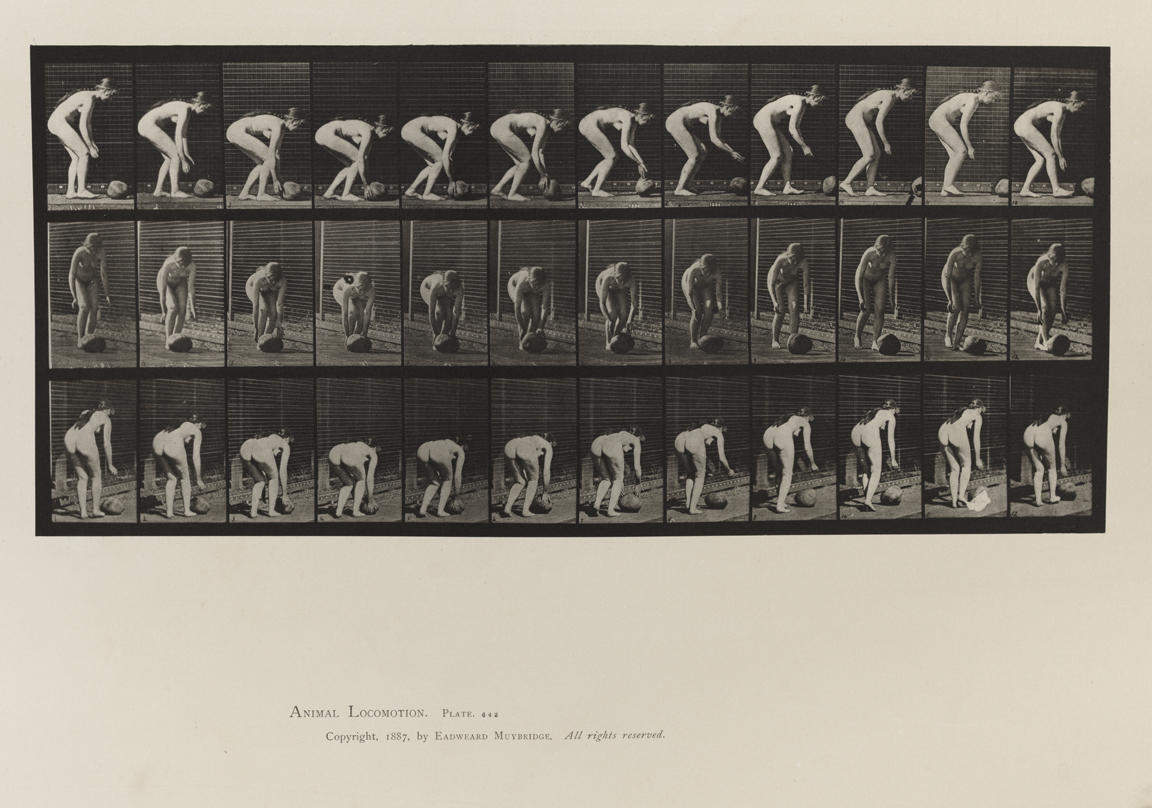 Animal Locomotion, Volume IV, Women (Nude). Plate 442