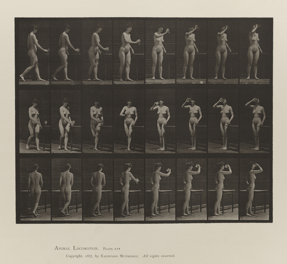 Animal Locomotion, Volume IV, Women (Nude). Plate 443