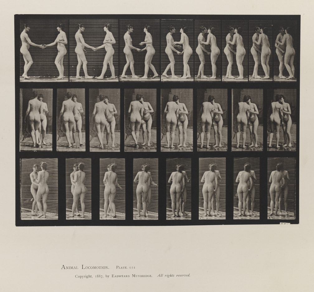 Animal Locomotion, Volume IV, Women (Nude). Plate 444