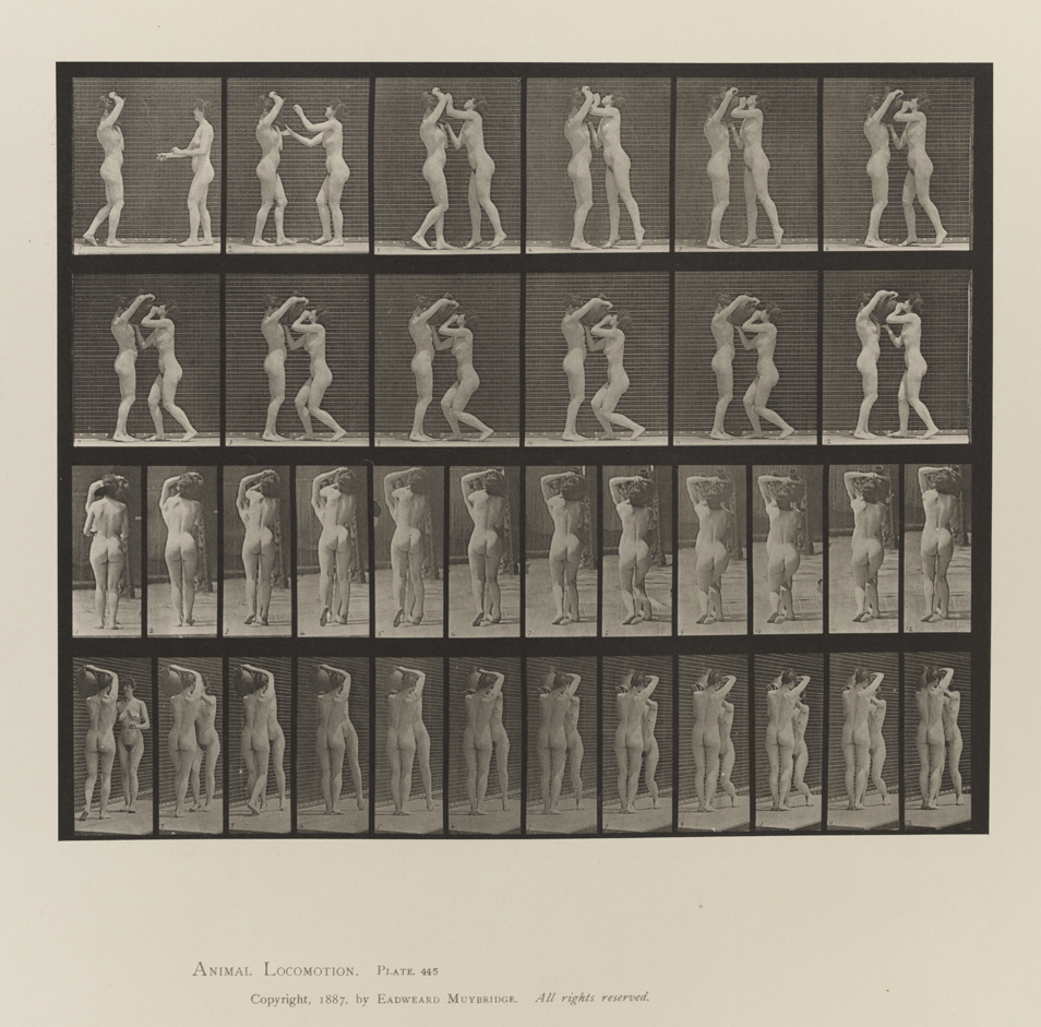 Animal Locomotion, Volume IV, Women (Nude). Plate 445