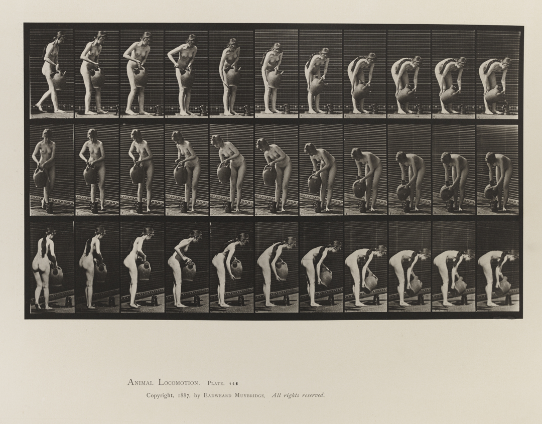 Animal Locomotion, Volume IV, Women (Nude). Plate 446