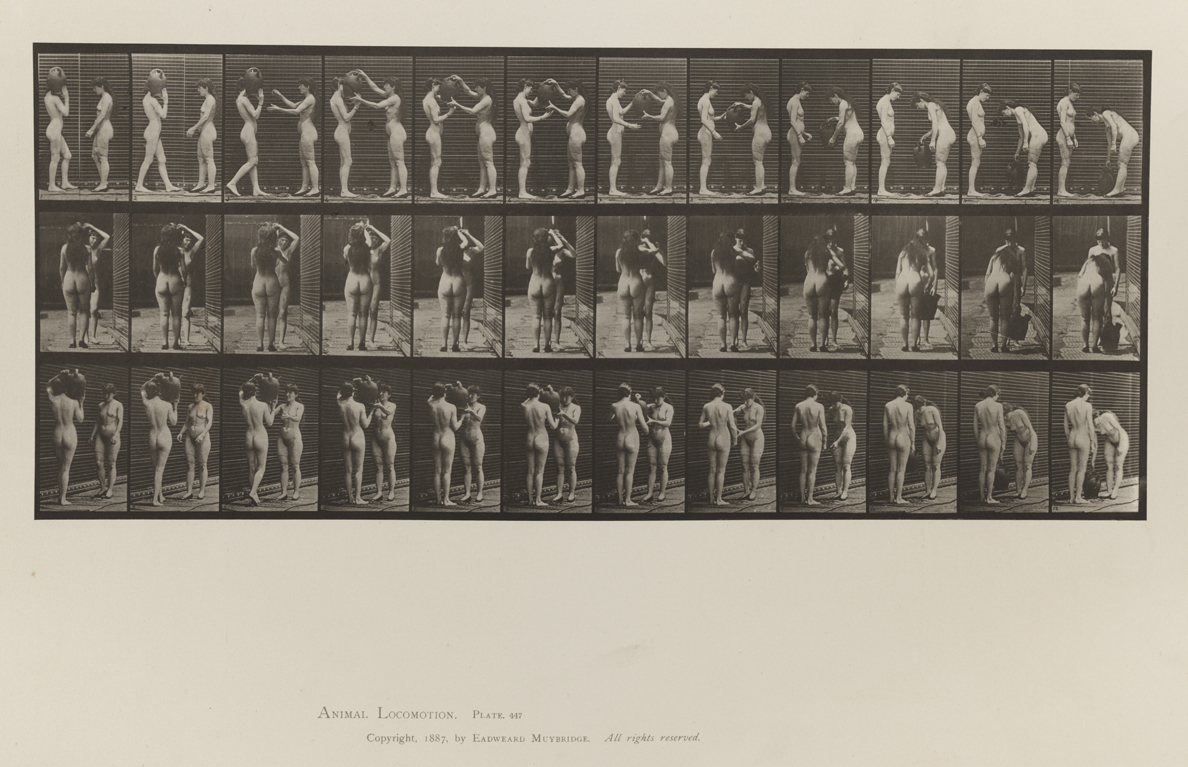 Animal Locomotion, Volume IV, Women (Nude). Plate 447