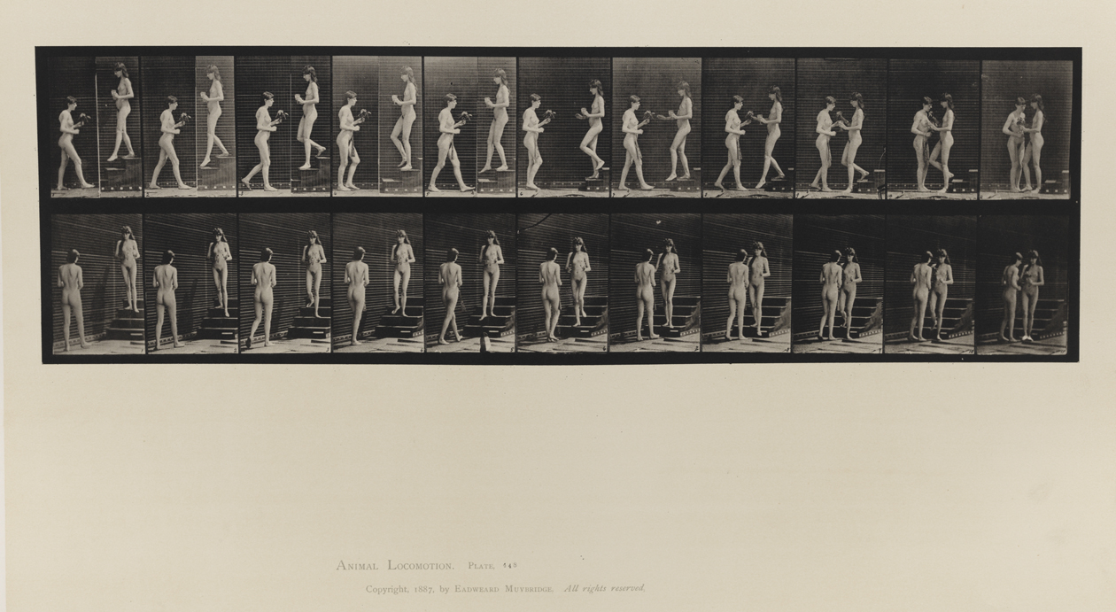 Animal Locomotion, Volume IV, Women (Nude). Plate 448