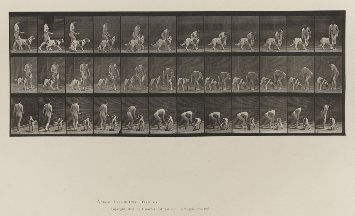 Animal Locomotion, Volume IV, Women (Nude). Plate 449