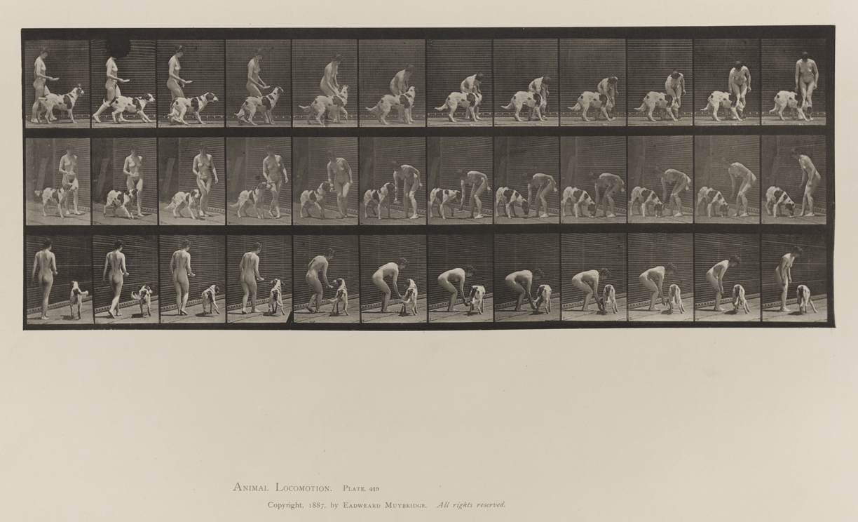 Animal Locomotion, Volume IV, Women (Nude). Plate 449