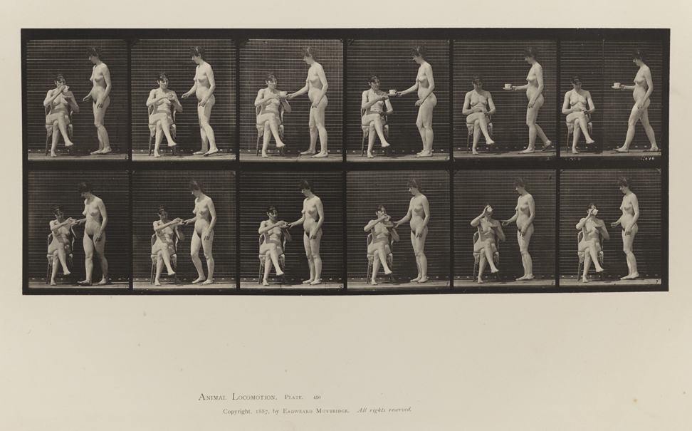 Animal Locomotion, Volume IV, Women (Nude). Plate 450