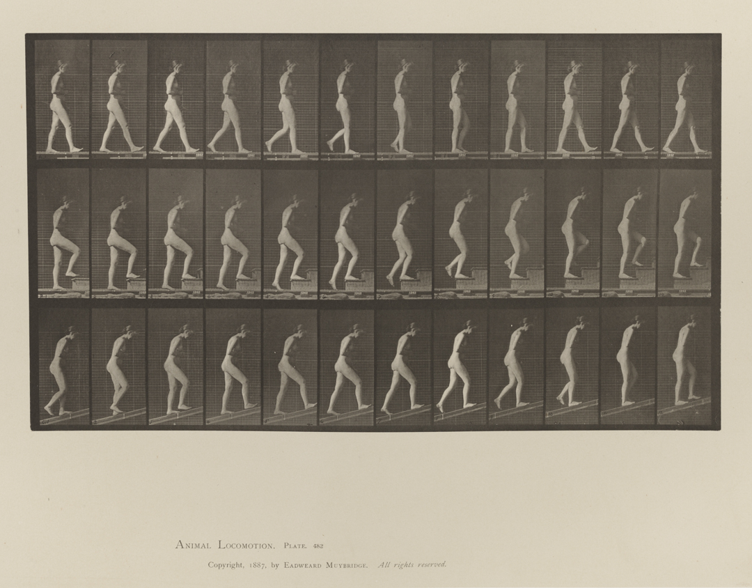 Animal Locomotion, Volume IV, Women (Nude). Plate 482