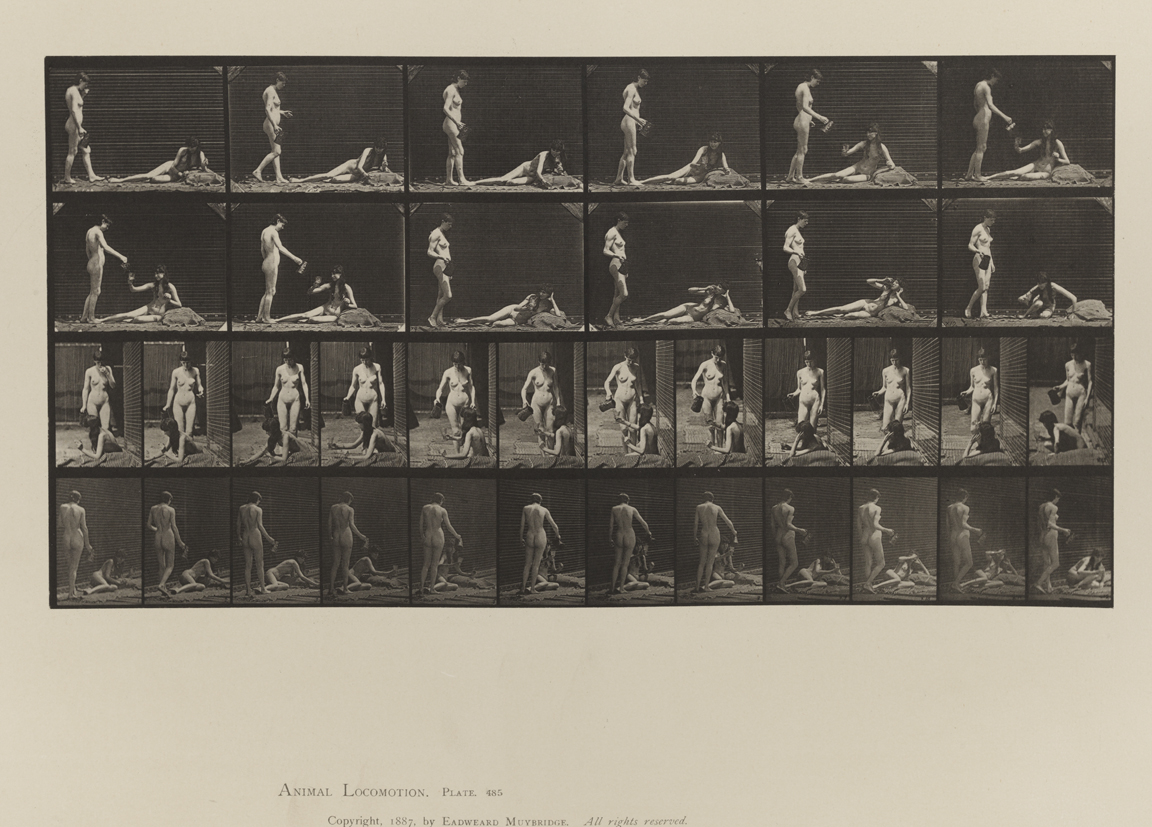 Animal Locomotion, Volume IV, Women (Nude). Plate 485