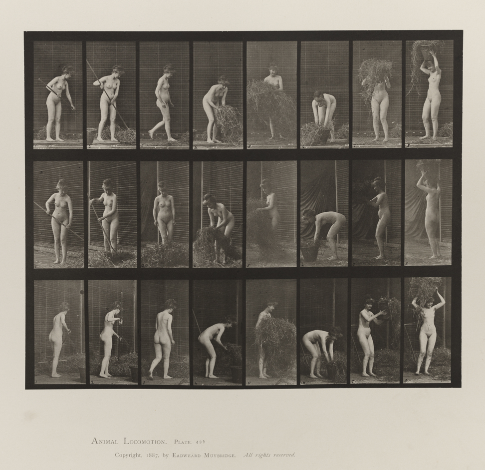 Animal Locomotion, Volume IV, Women (Nude). Plate 499