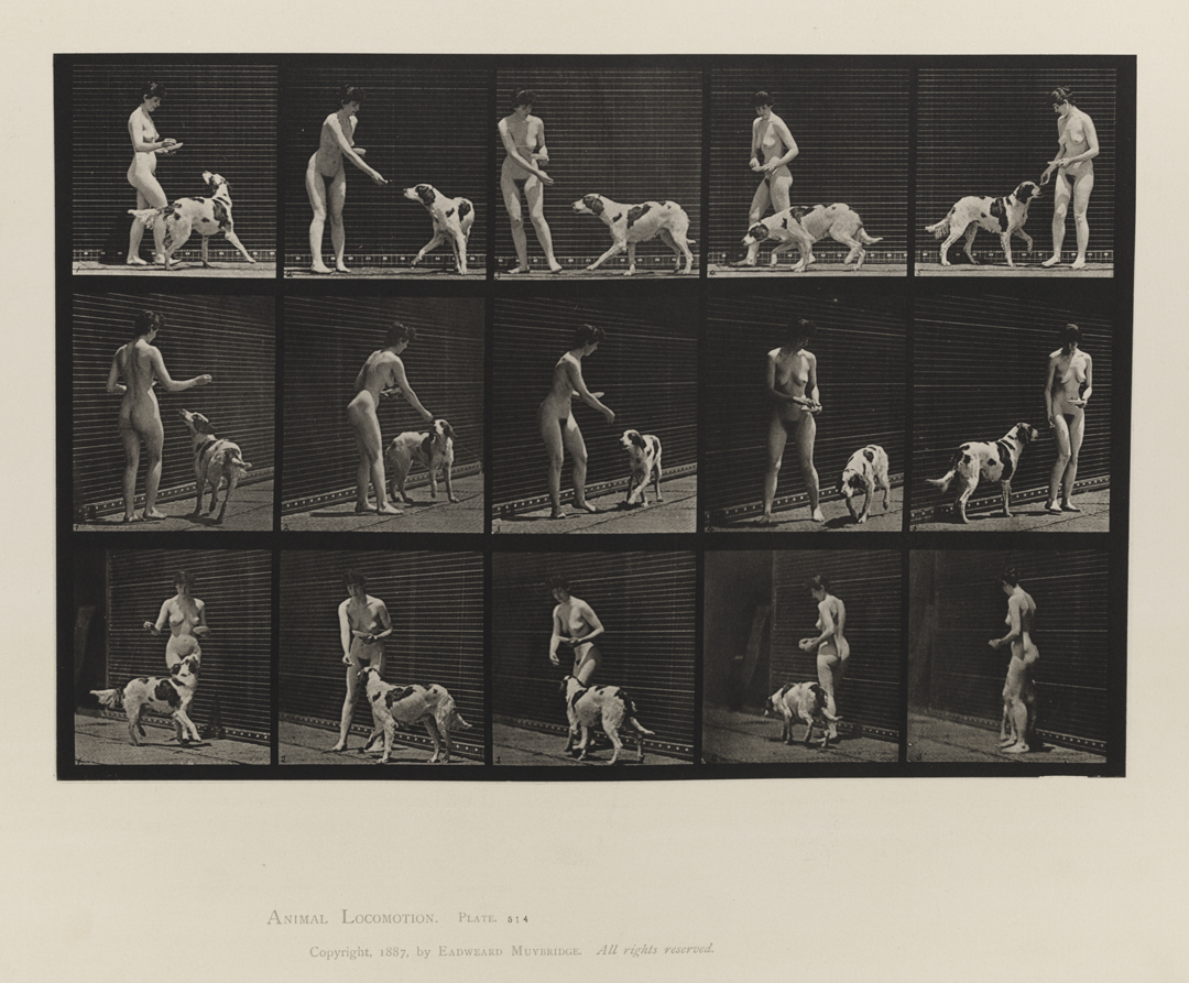 Animal Locomotion, Volume IV, Women (Nude). Plate 514