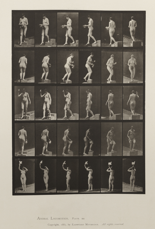 Animal Locomotion, Volume IV, Women (Nude). Plate 525