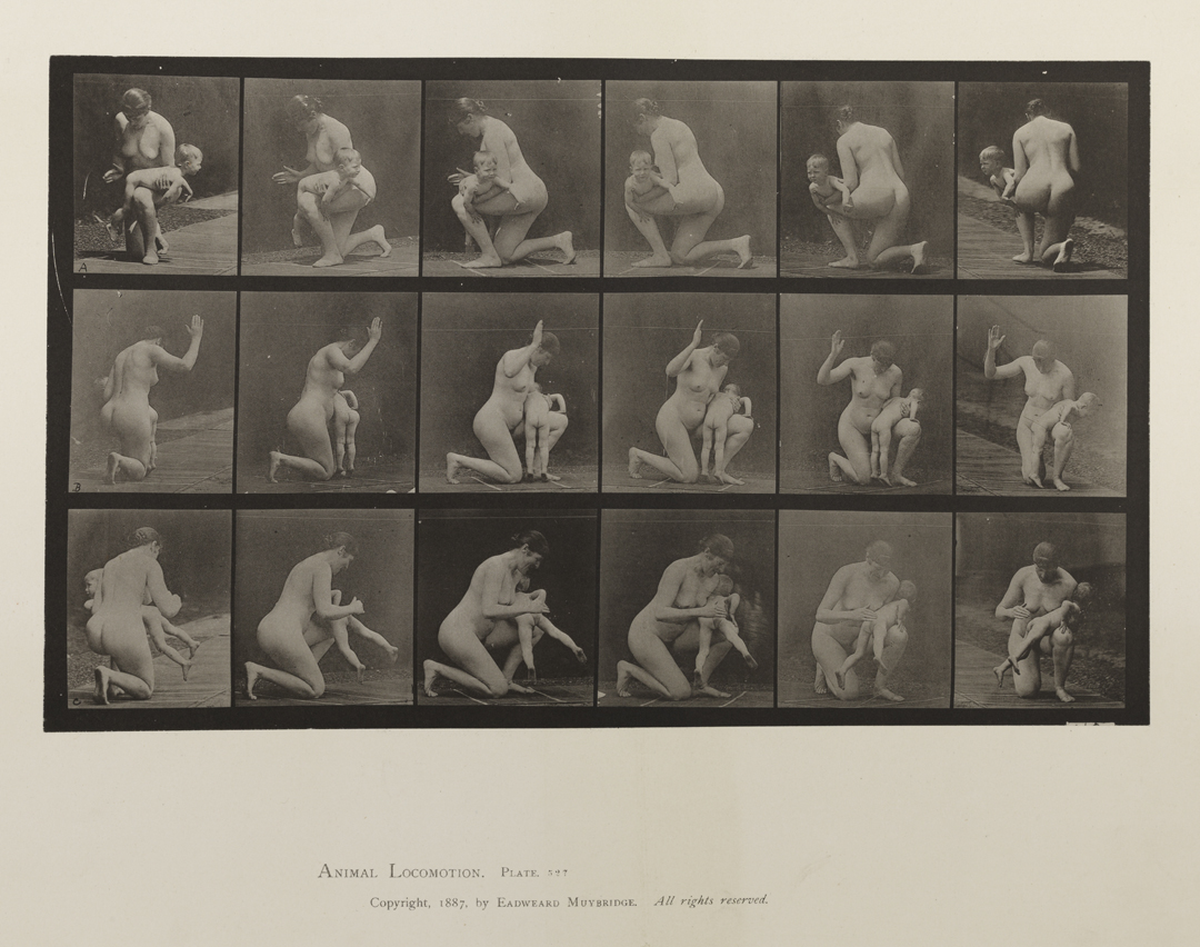 Animal Locomotion, Volume IV, Women (Nude). Plate 527